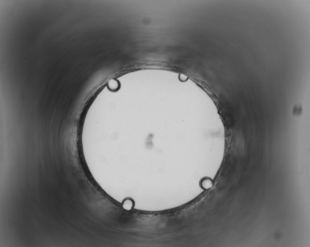 X0000103440293200809121108
