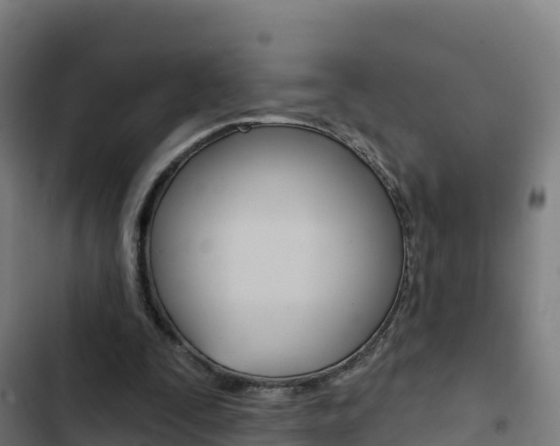 X0000103440295200809121108