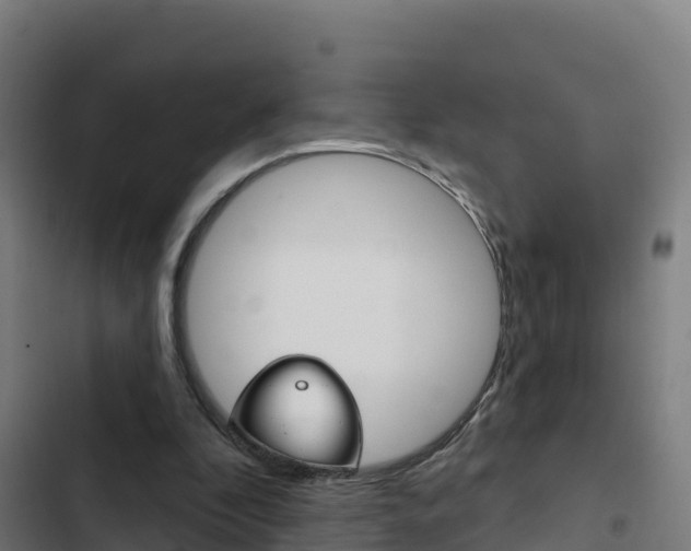X0000103440296200809121108