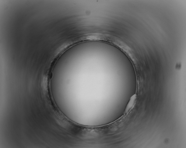 X0000103440297200809121108