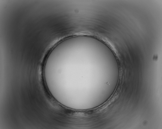 X0000103440298200809121108