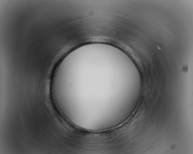 X0000103440299200809121108