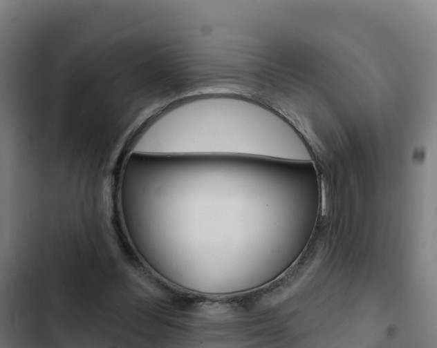 X0000103440300200809121108