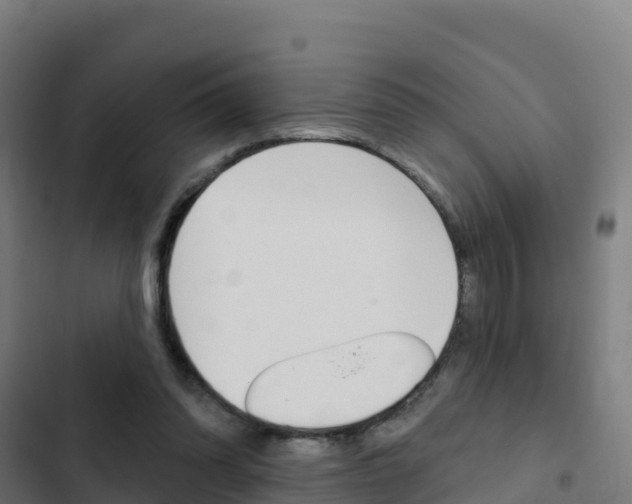 X0000103440302200809121108