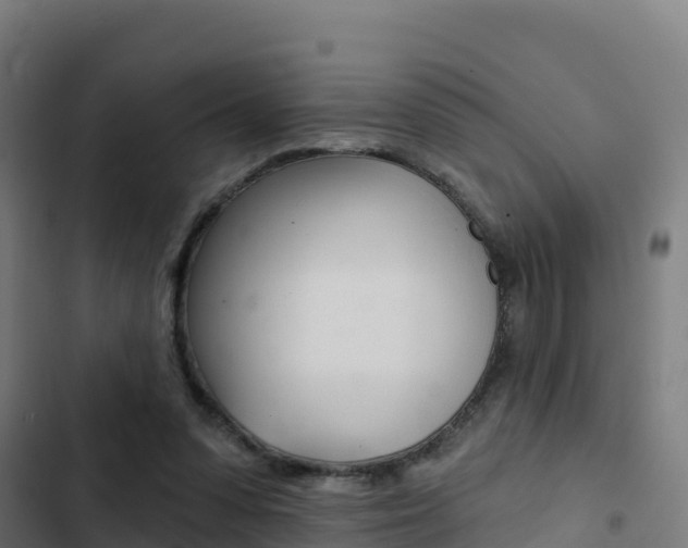 X0000103440303200809121108