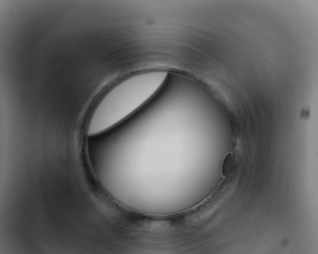 X0000103440304200809121108