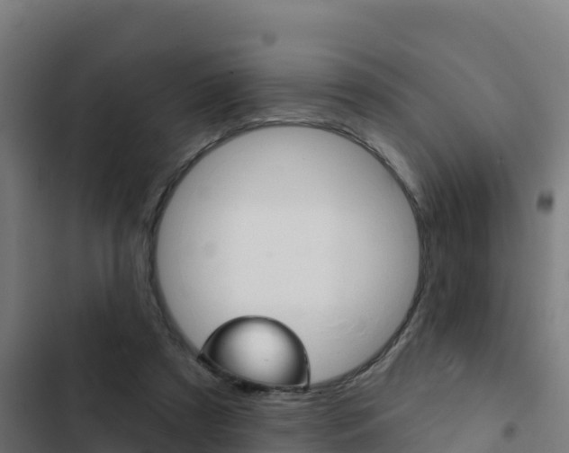 X0000103440305200809121108