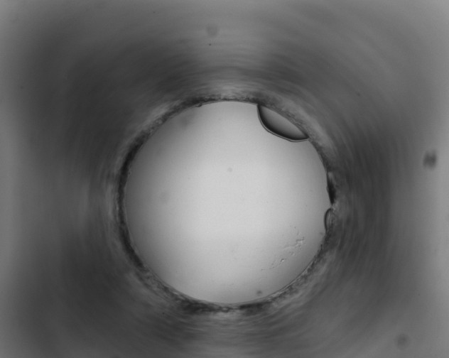 X0000103440306200809121108