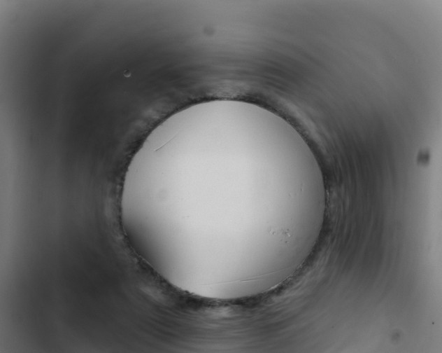 X0000103440307200809121108