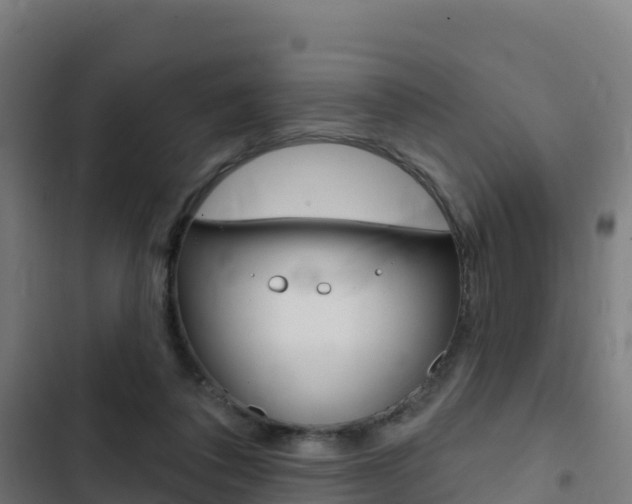 X0000103440308200809121108
