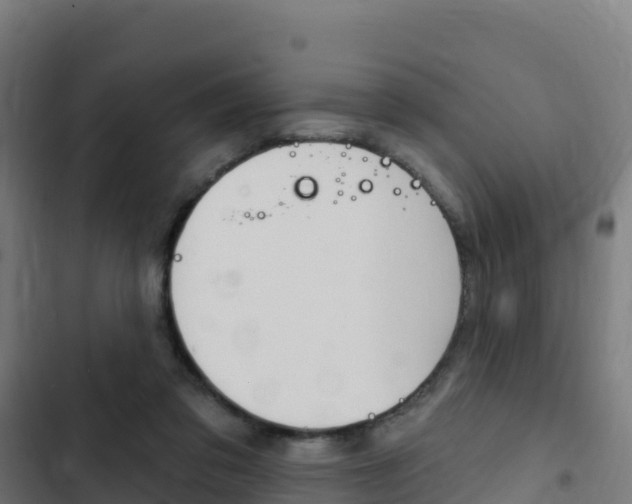 X0000103440309200809121108
