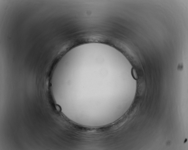 X0000103440310200809121108