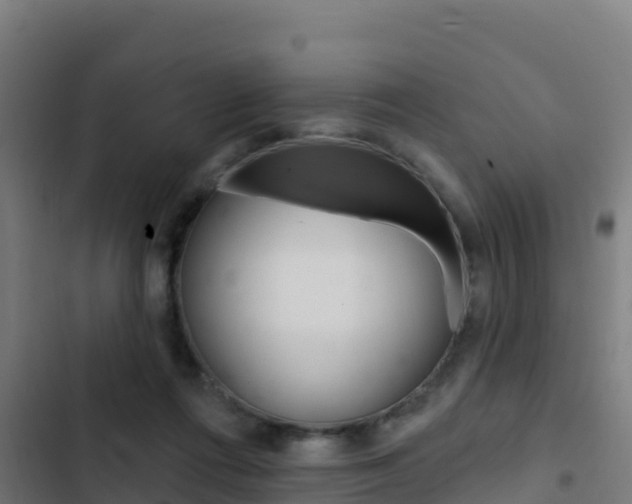 X0000103440312200809121108