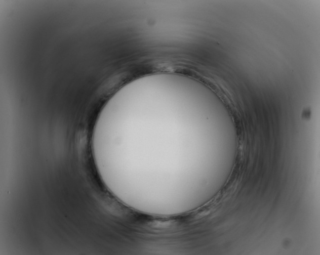 X0000103440314200809121108