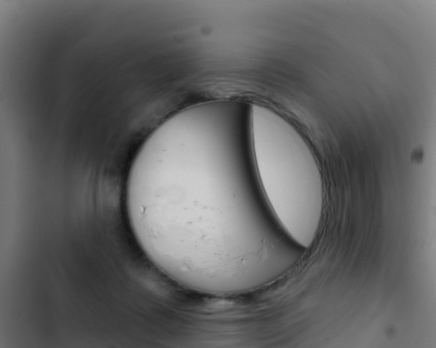 X0000103440315200809121108