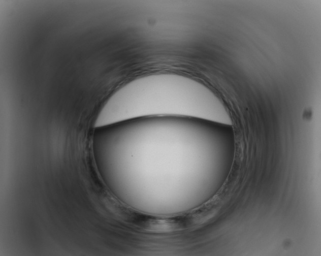 X0000103440316200809121108