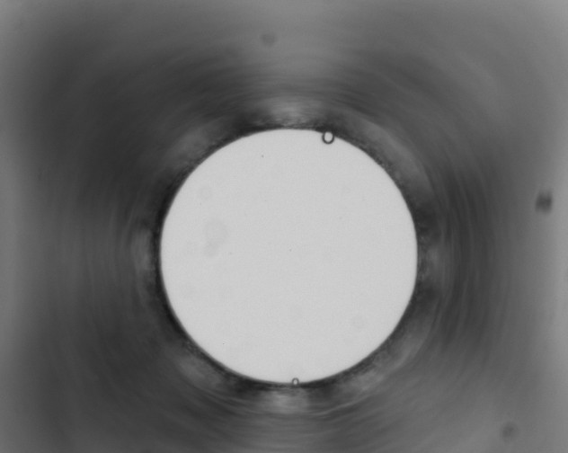 X0000103440317200809121108
