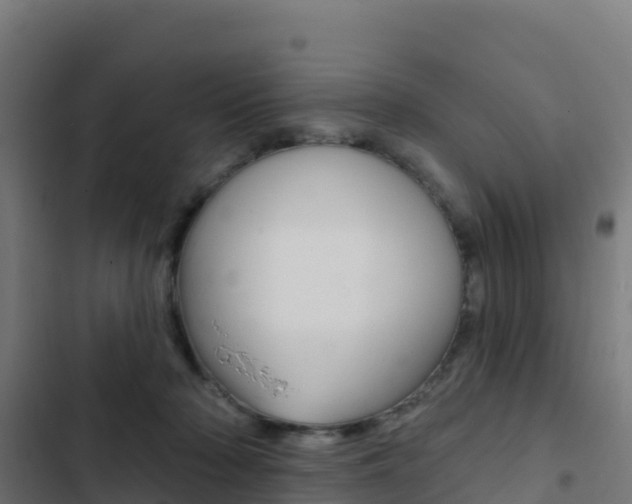 X0000103440318200809121108