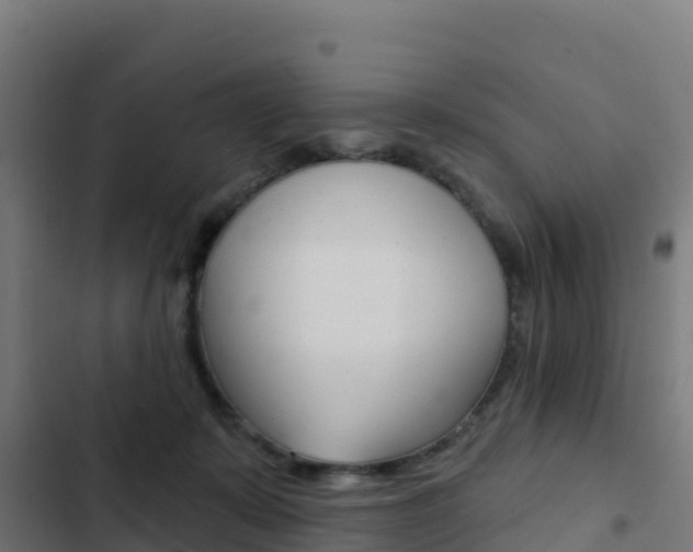 X0000103440319200809121108
