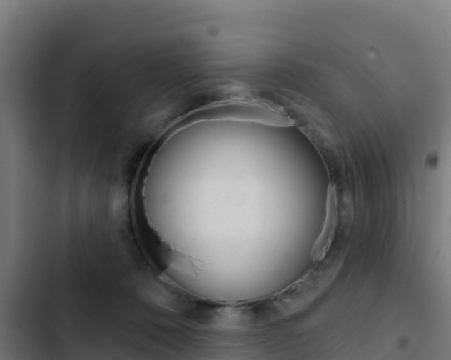 X0000103440320200809121108