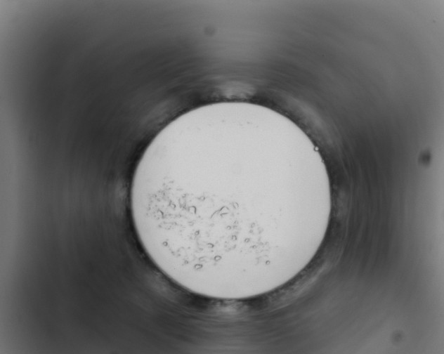 X0000103440321200809121108