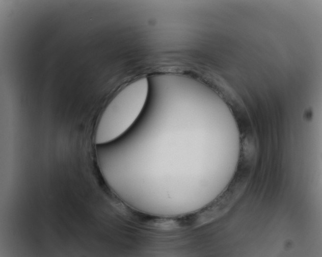 X0000103440322200809121108