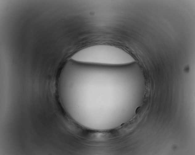 X0000103440323200809121108