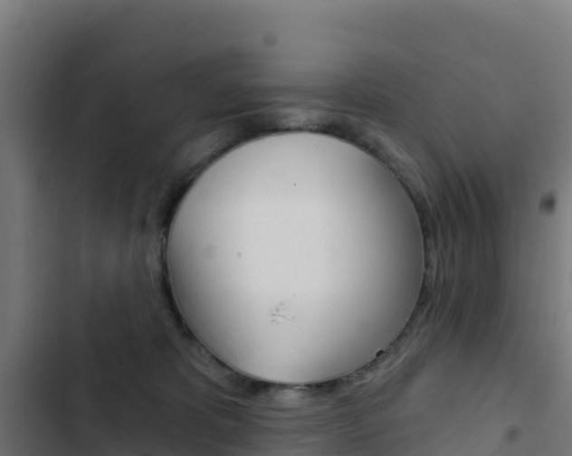 X0000103440325200809121107