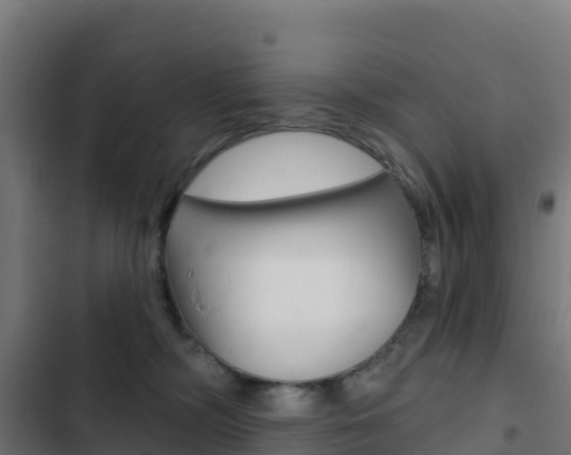 X0000103440326200809121107