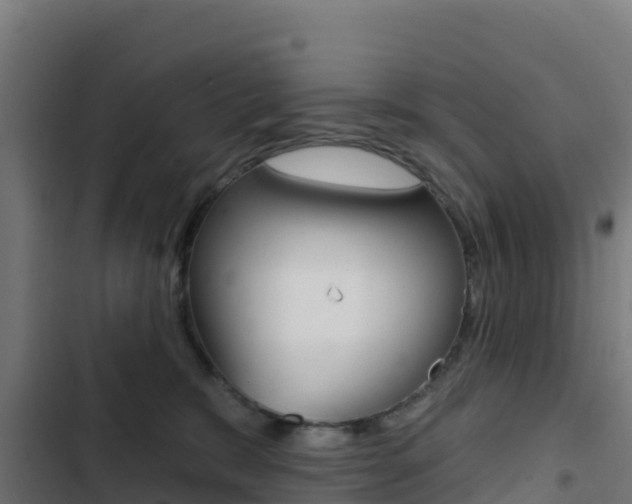 X0000103440327200809121107