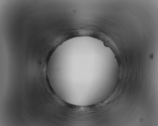 X0000103440329200809121107