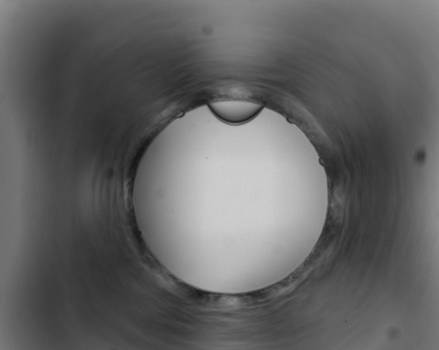 X0000103440330200809121107