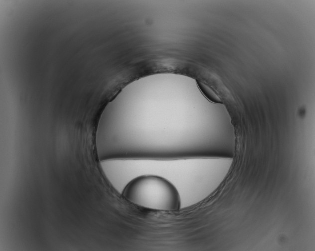 X0000103440331200809121107