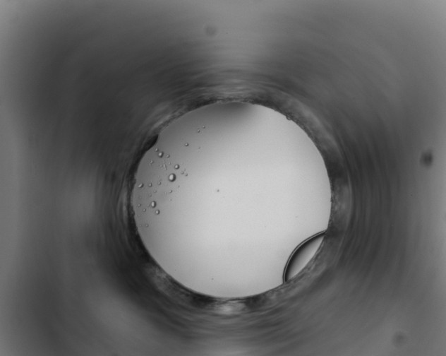 X0000103440333200809121107