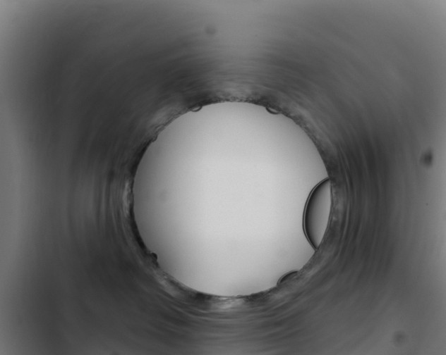 X0000103440334200809121107