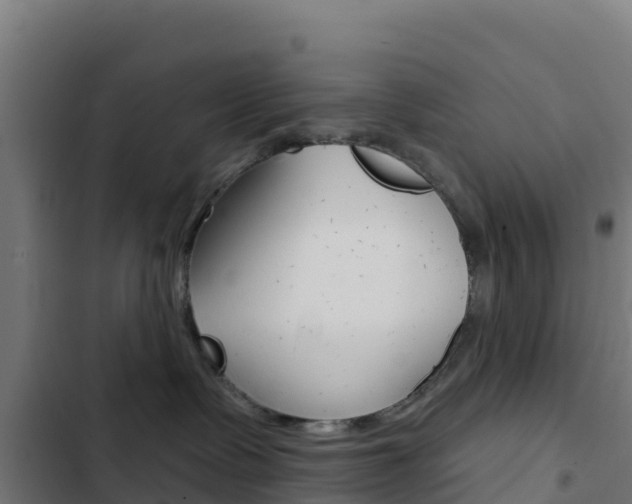 X0000103440335200809121107