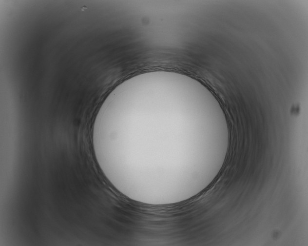 X0000103440336200809121107