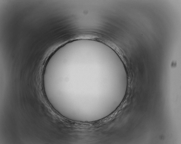 X0000103440337200809121107