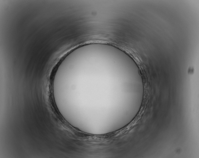 X0000103440338200809121107