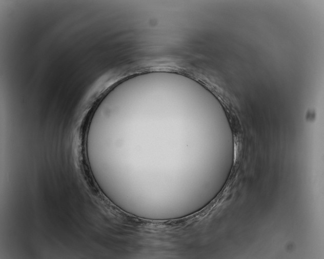 X0000103440339200809121107