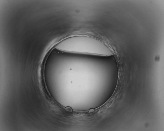 X0000103440340200809121107
