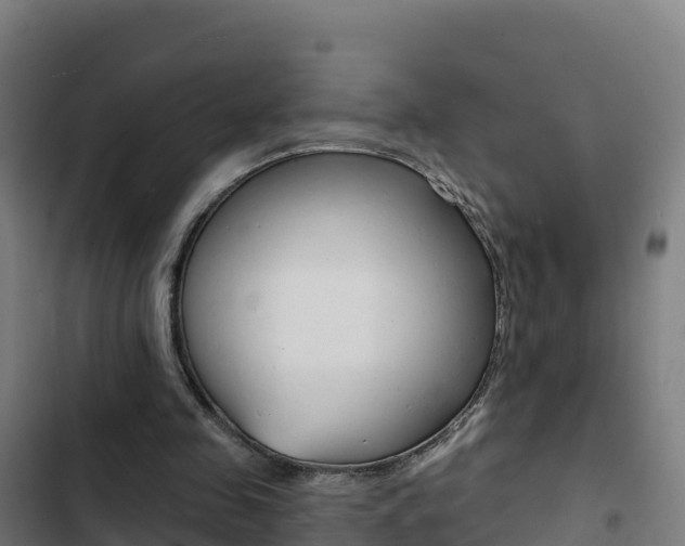 X0000103440341200809121107