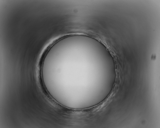 X0000103440342200809121107