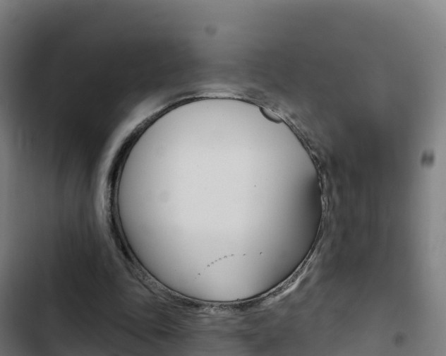 X0000103440343200809121107