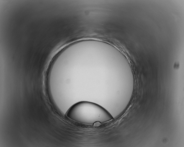 X0000103440344200809121107