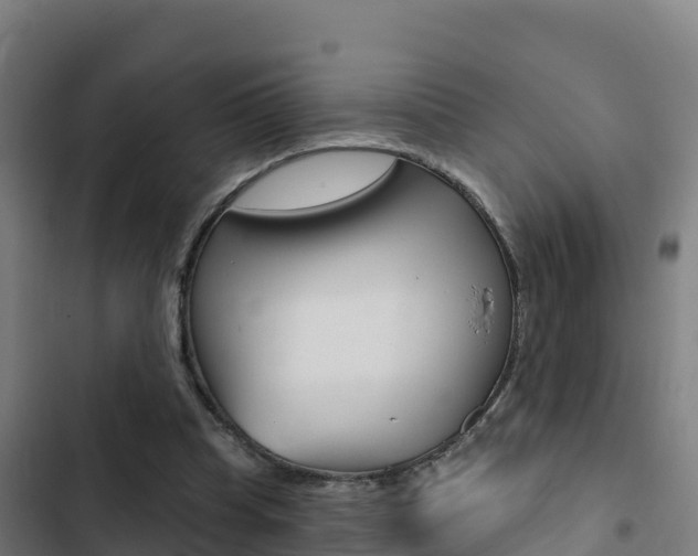 X0000103440345200809121107