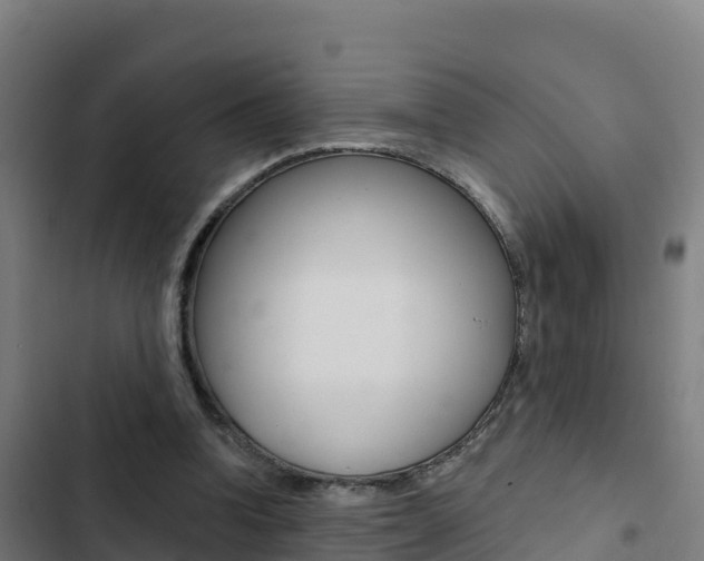 X0000103440346200809121107