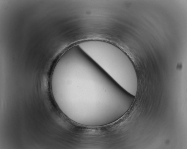 X0000103440347200809121107