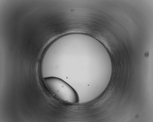 X0000103440348200809121107
