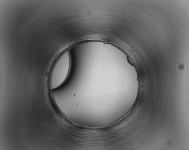 X0000103440349200809121107